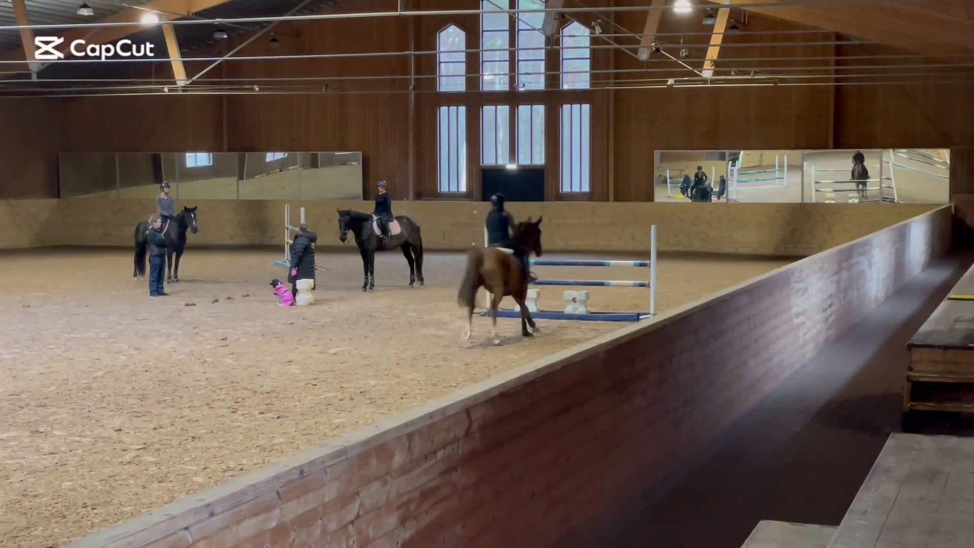 Hoppning hästar till salu: Välstammad hopphäst i Grödinge - Video 1