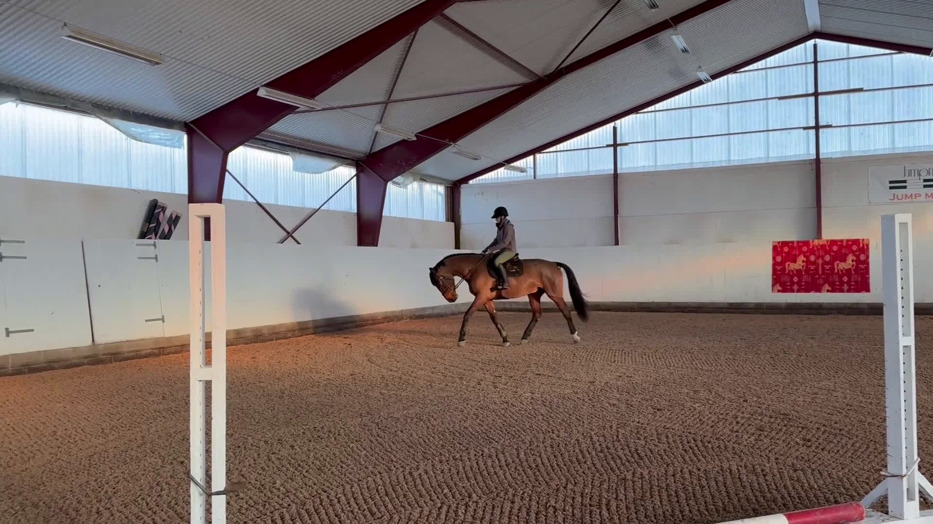 Hoppning hästar till salu: Häst för alla dicipliner!  - Video 1