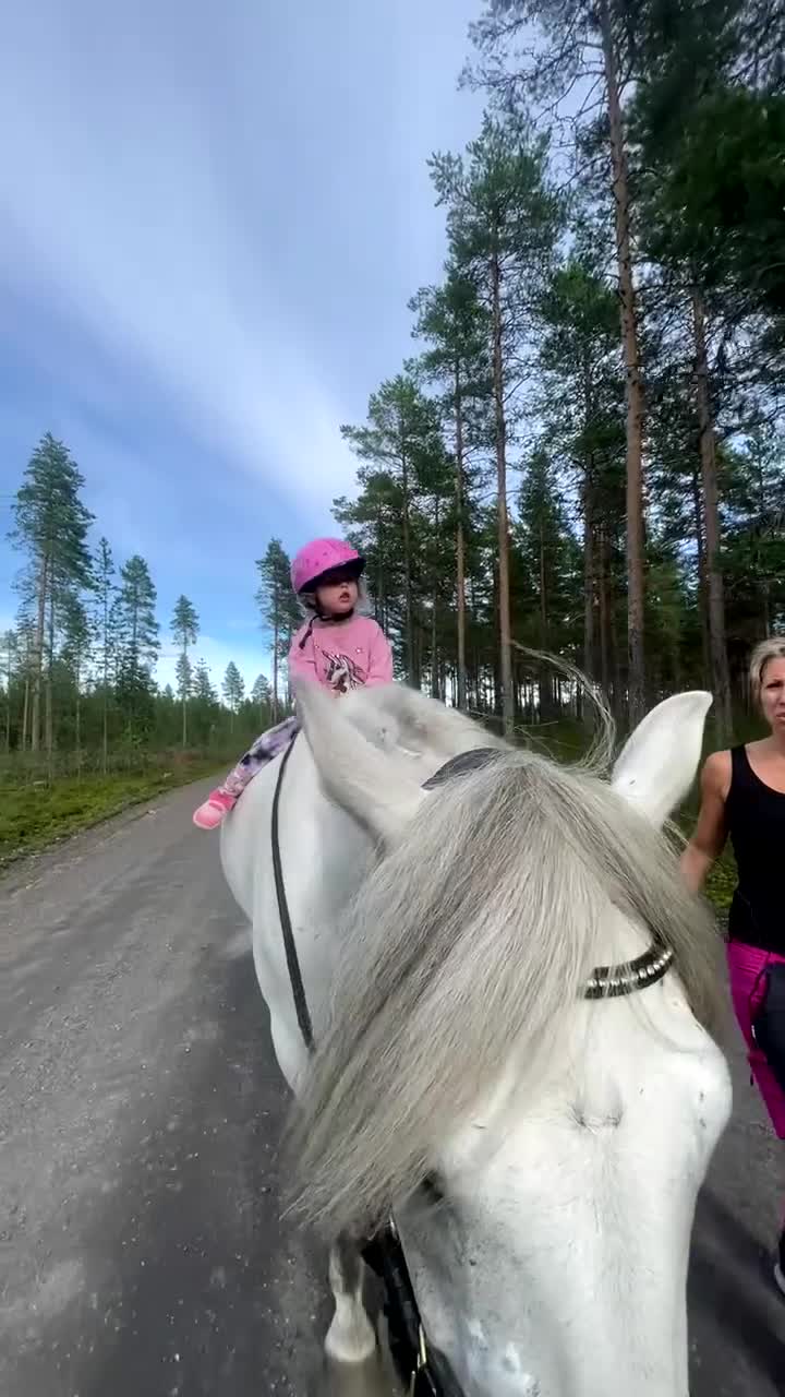 Allround hästar till salu: Hinderklok oslipad diamant 💎  i Luleå - Video 5