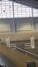 Hoppning hästar till salu: Trygg tävlingsponny med hjärta av guld i Harestad - Video 4