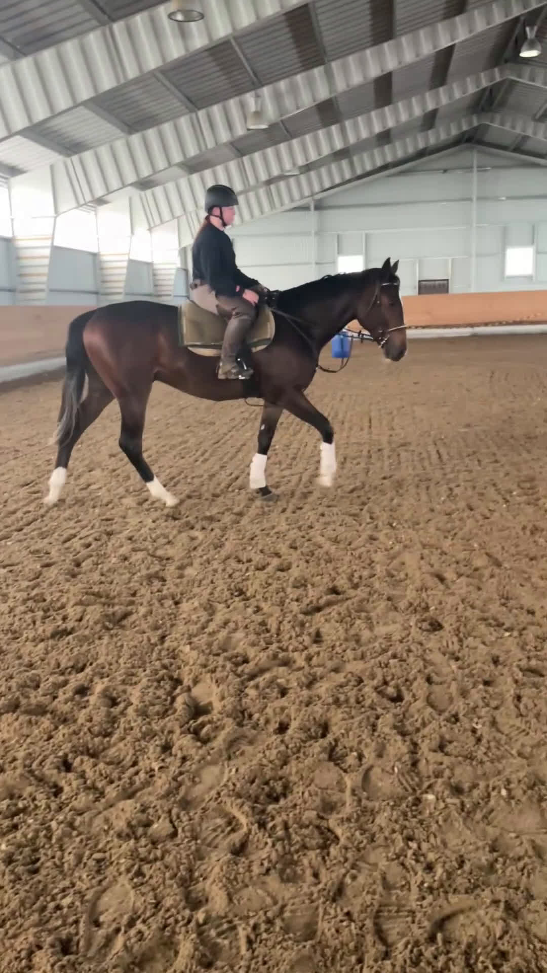 Fälttävlan hästar till salu: En otroligt snäll unghäst att forma själv! i Bälinge - Video 2