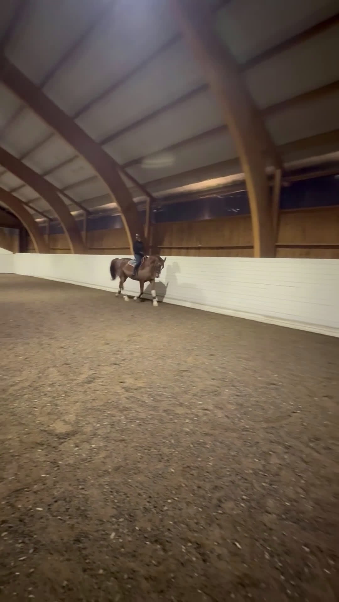 Allround hästar till salu: Läromästare Allround  - Video 2