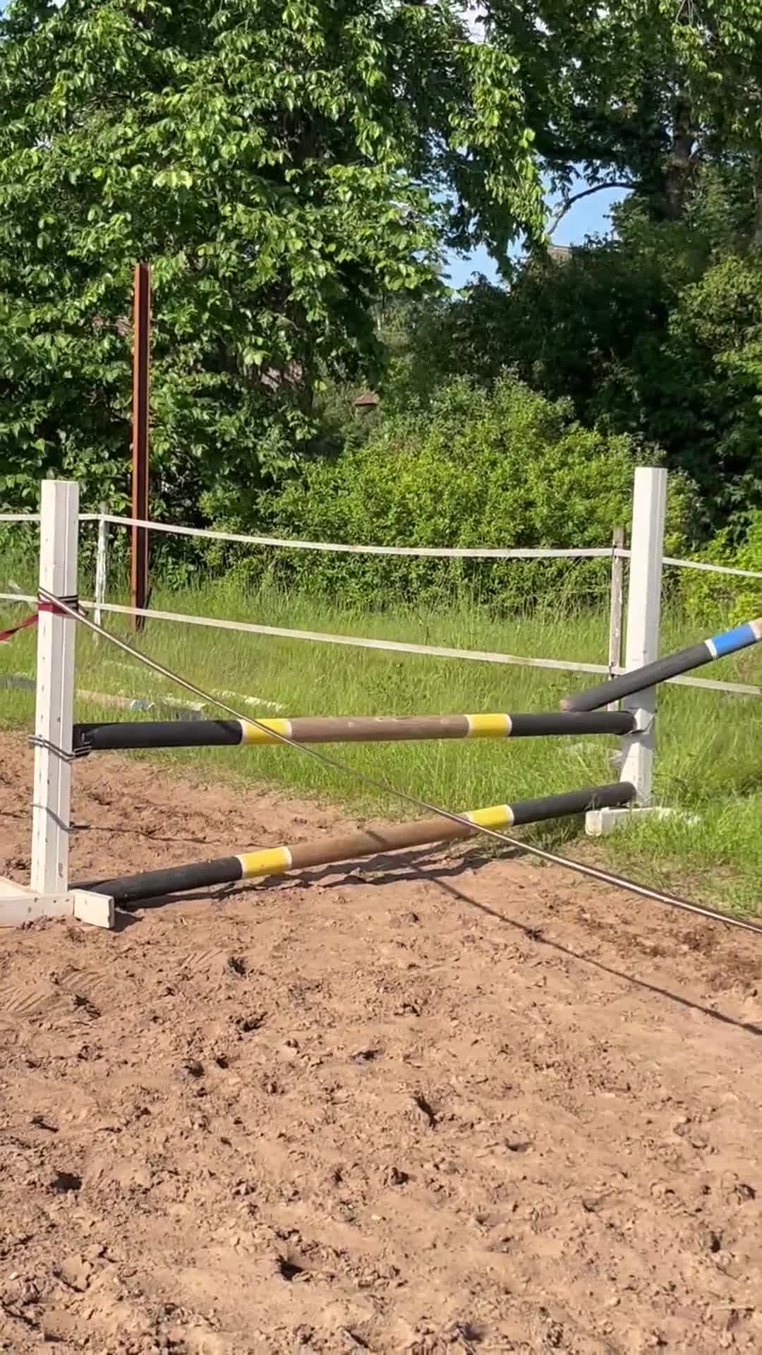 Allround hästar till salu: Otroligt snäll och vacker Welsh mountain  - Video 2