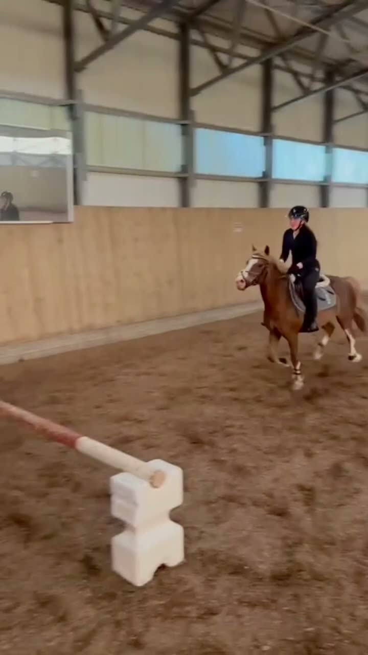 Allround hästar till salu: !!RESERVERAD!! Fin och ambitiös C-Ponny - Video 2