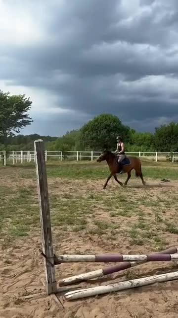 Allround hästar till salu: Pigg och framåt mor/ dotterhäst - Video 1