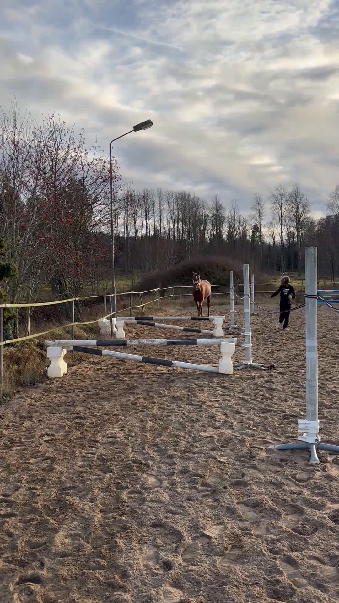 Allround hästar till salu: Super fin tjej i Tenhult - Video 2