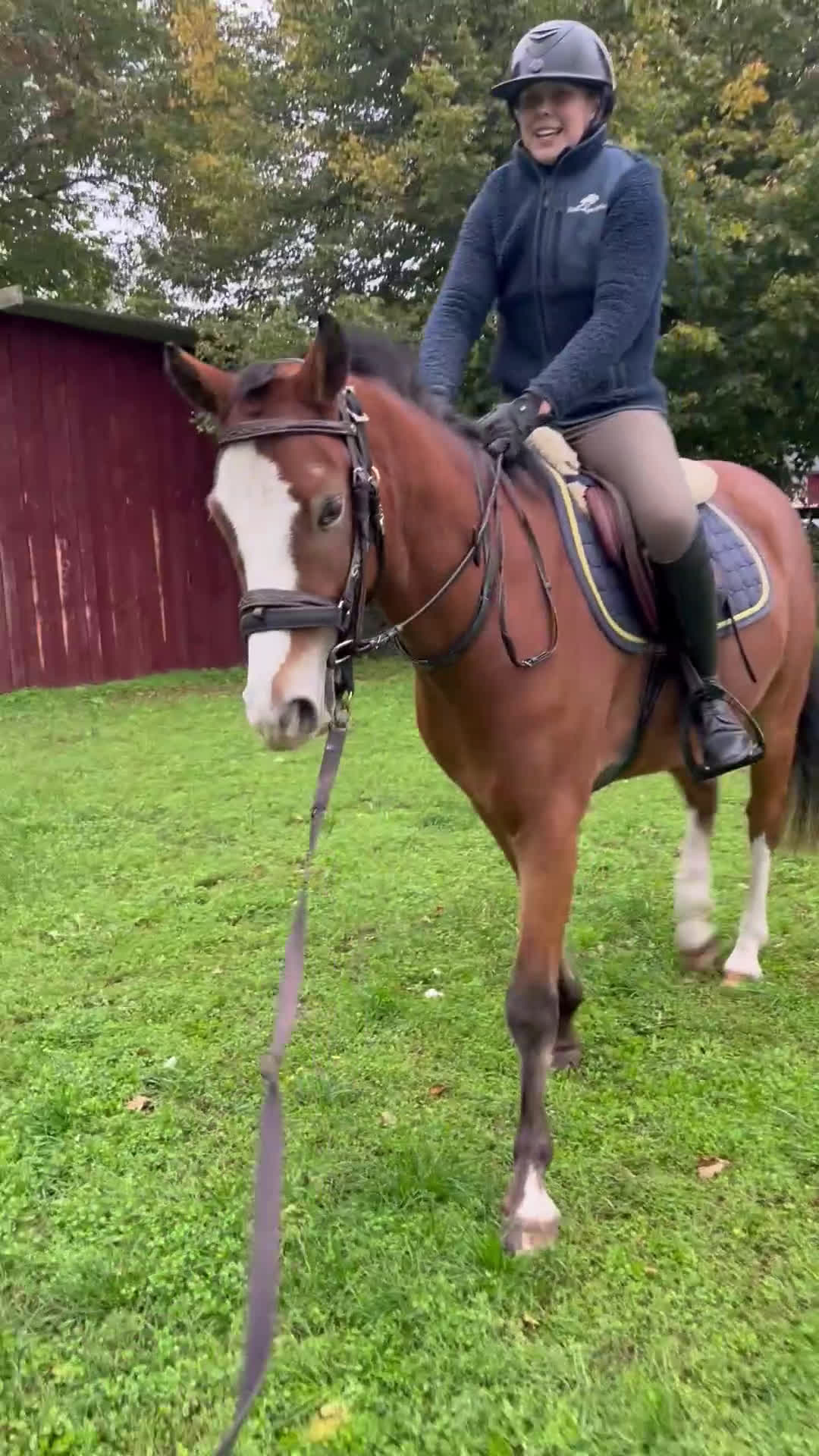 Hoppning hästar till salu: Blivande elitponny för mästerskap i Önnestad - Video 1
