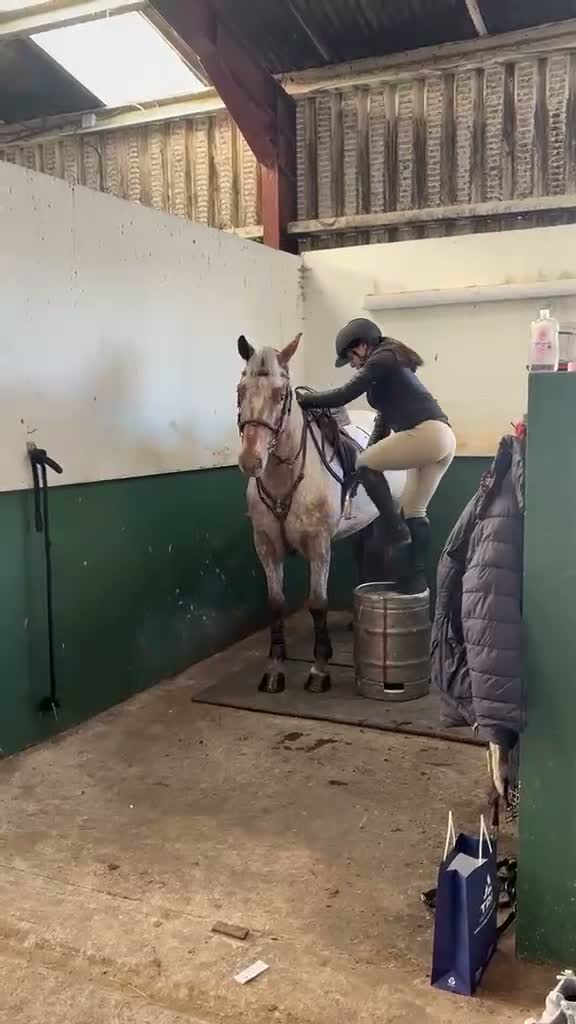 Hoppning hästar till salu: Ljuvlig D ponny 💕 - Video 1