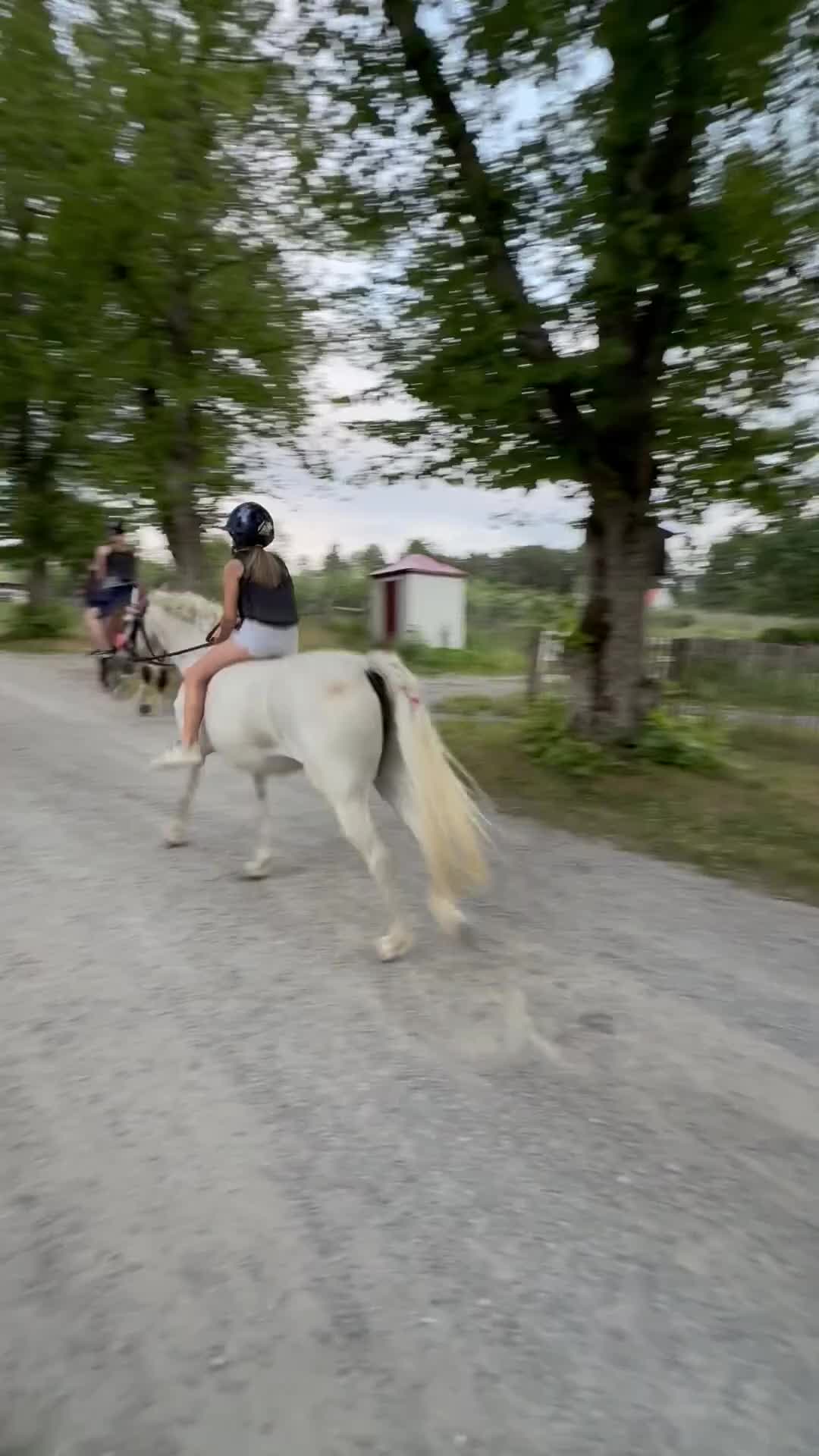 Allround hästar till salu: Tiara – ponnyn som gjorde vår lilla ryttare stor - Video 2