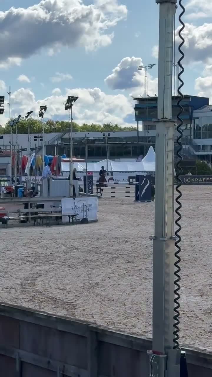 Hoppning hästar till salu: Fantastisk läromästare - Video 1