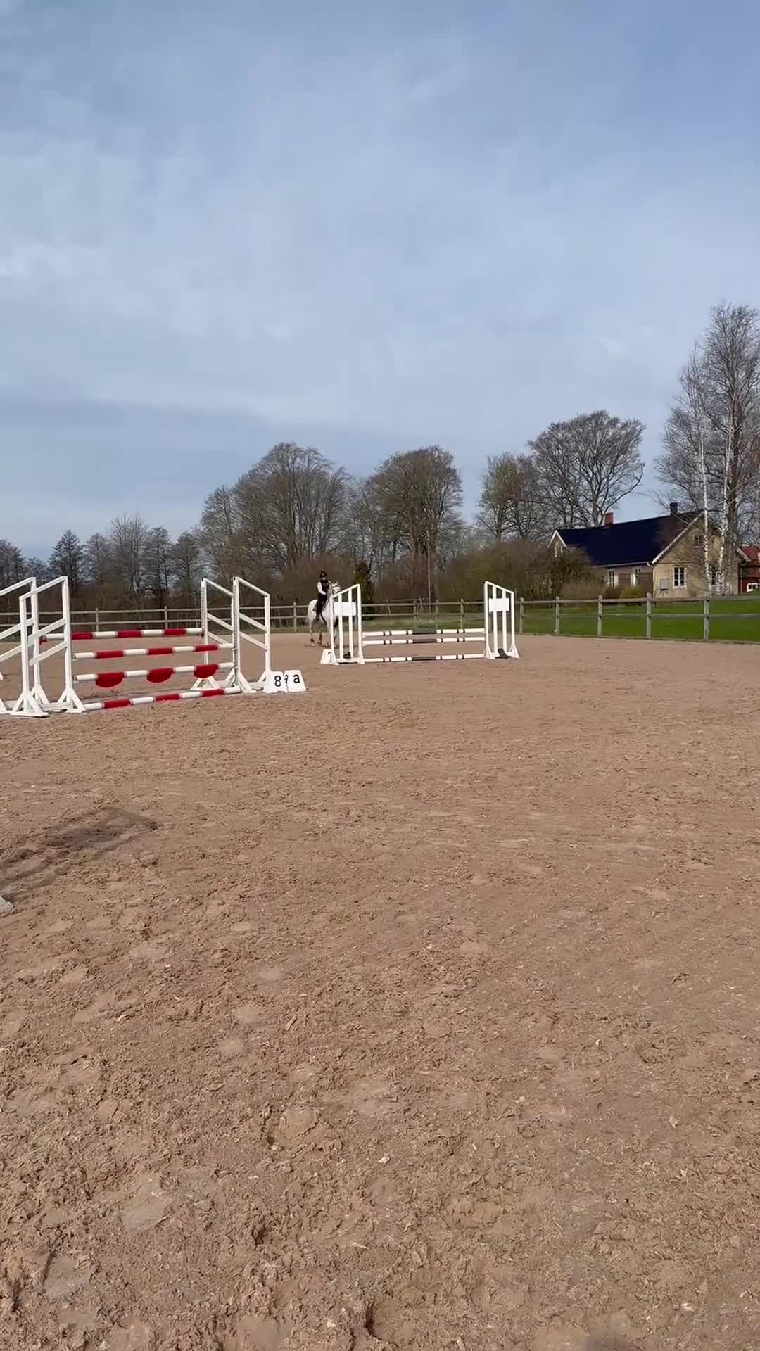 Allround hästar till salu: Sto med fin stam. Lyxig skogsmulle/projekt - Video 2
