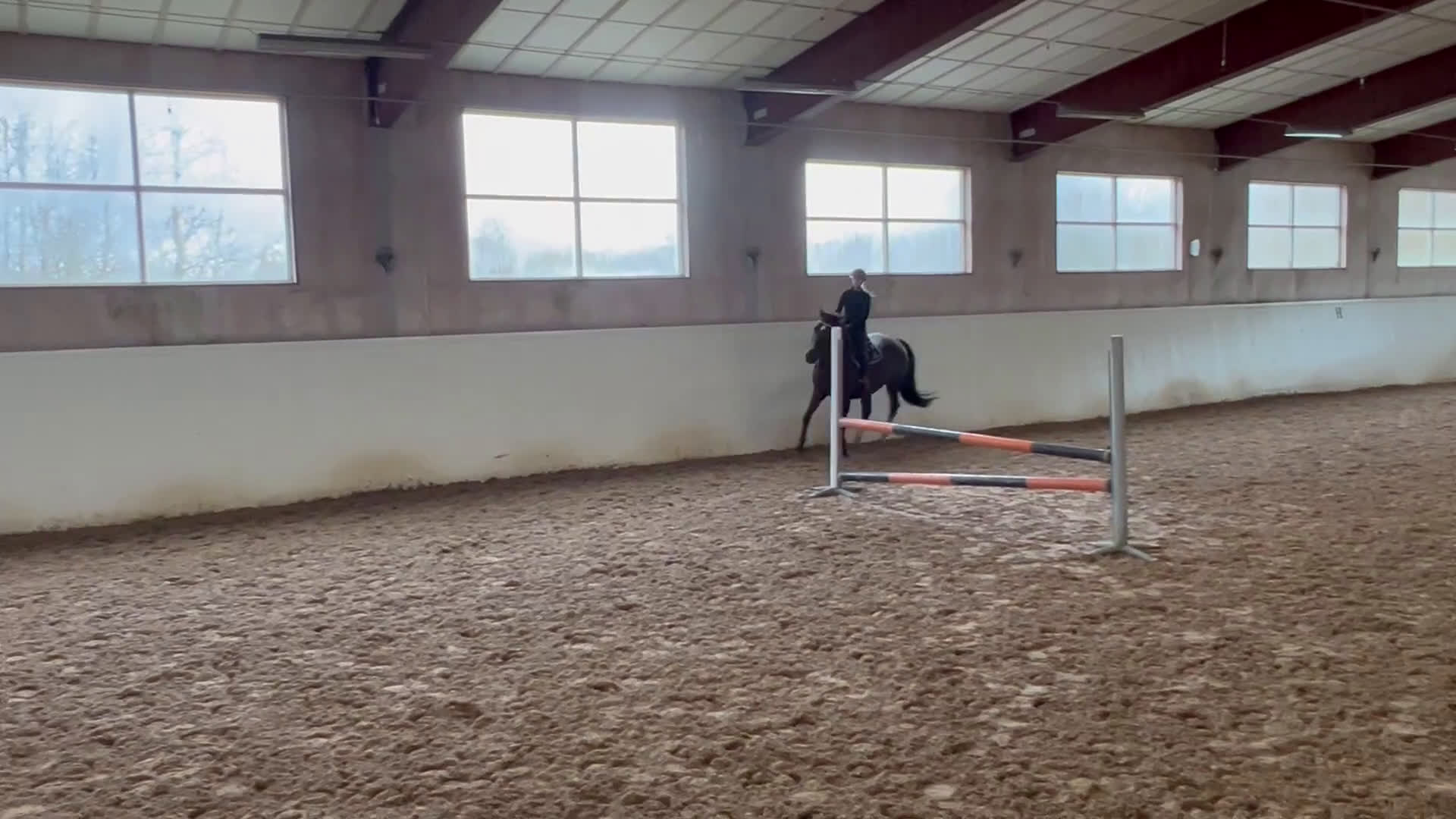 Hoppning hästar till salu: Trevlig hoppinriktad allroundhäst  i Varberg - Video 1