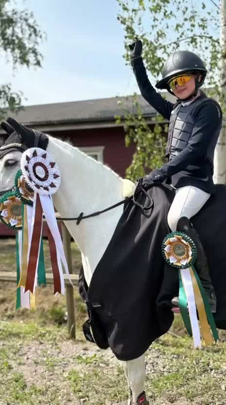 Hoppning hästar till salu: Tävlingsponny - Video 1