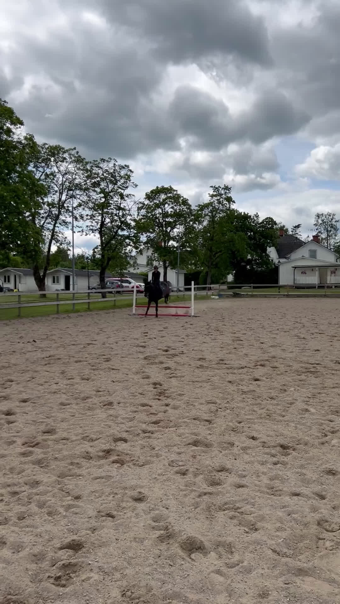 Dressyr hästar till salu: Flashigt SWB-sto - Video 5