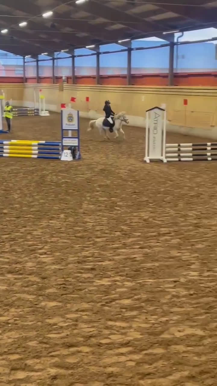 Allround hästar till salu: Fyndpris! Välutbildad B-ponny! i Bergkvara - Video 2