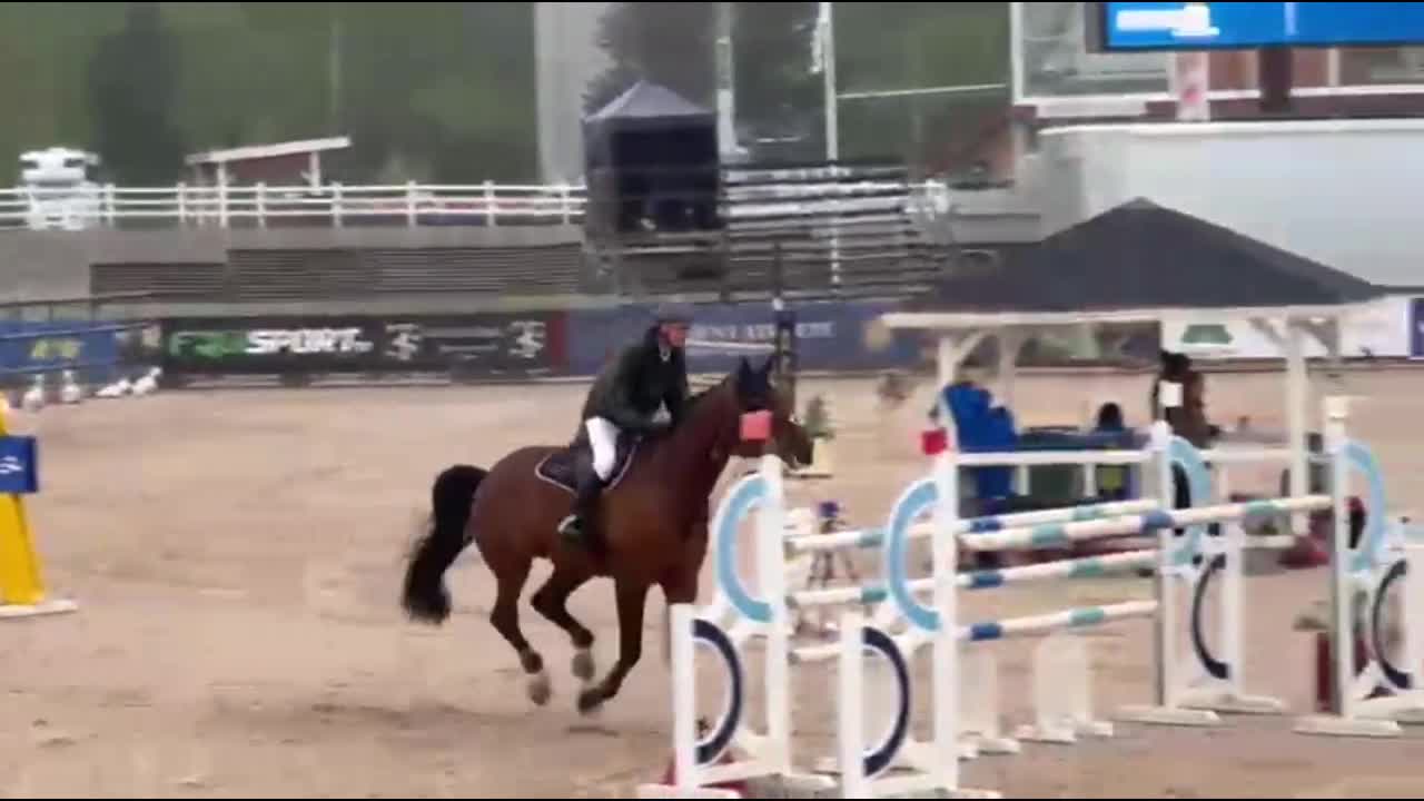 Hoppning hästar till salu: Svårklass häst  i Enköping - Video 1