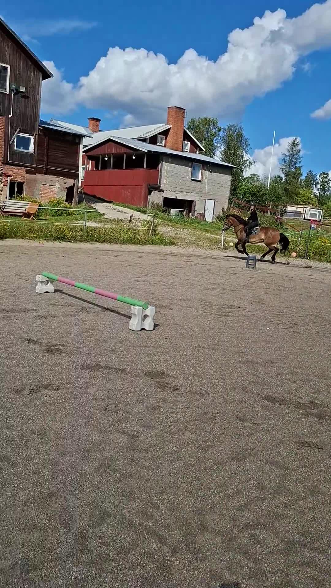 Allround hästar till salu: Allround häst - Video 1