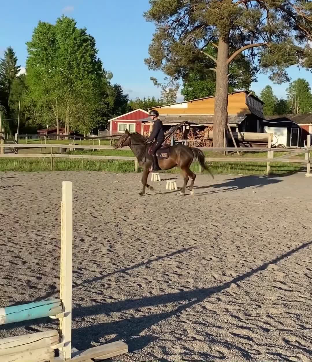 Allround hästar till salu: Trevlig 3-årig d-ponny  i Braås - Video 1