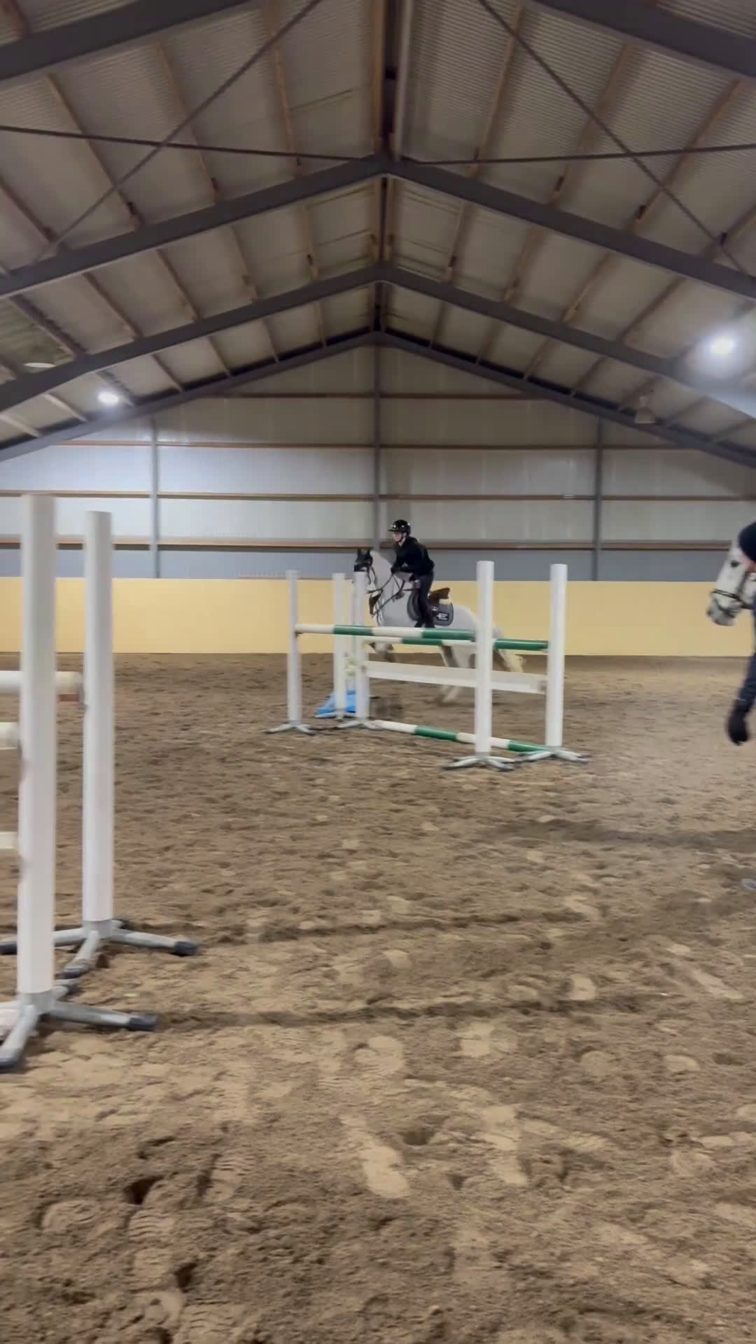 Allround hästar till salu: Ponny med kapacitet med rätt ryttare💗 - Video 2