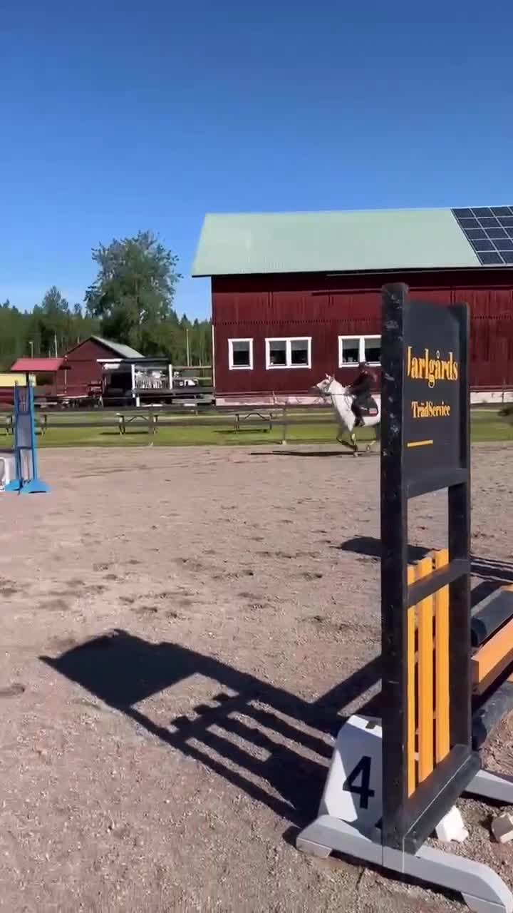 Allround hästar till salu: Trevligt och fint allroundsto - Video 4
