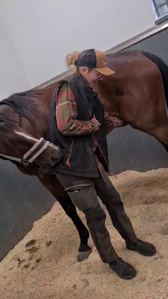 Övrigt hästar till salu: Skogsmulle/fölsto i Furudal - Video 1