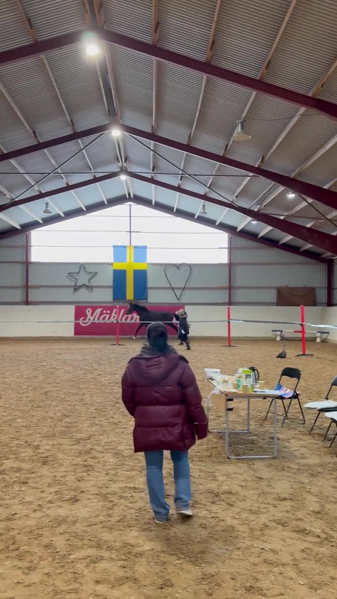 Allround hästar till salu: Väldigt trevlig unghäst i Vetlanda - Video 3