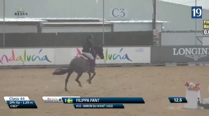 Hoppning hästar till salu: Svart drömhäst - Baloubet du Rouet - Video 4