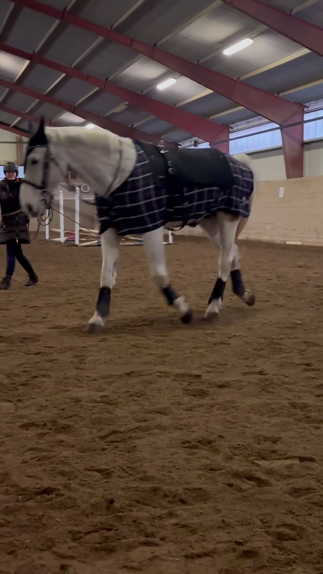  foderhäst finnes: Trevligt äldre halvblod på foder i Mölndal - Video 1
