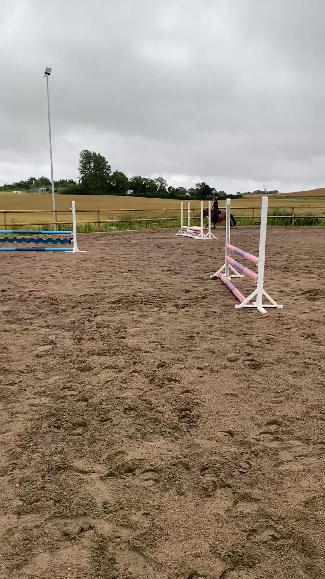 Hoppning hästar sökes: D-ponny sökes i Trelleborg - Video 3