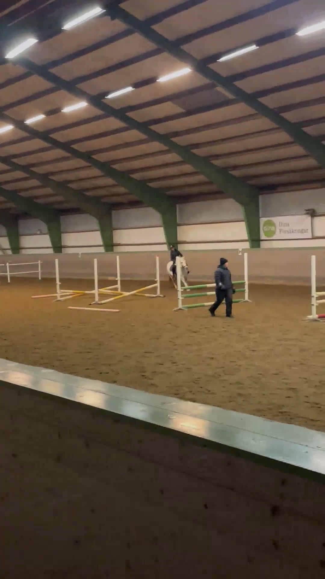 Allround hästar till salu: En bästa kompis med glimten i ögat  i Gävle - Video 5