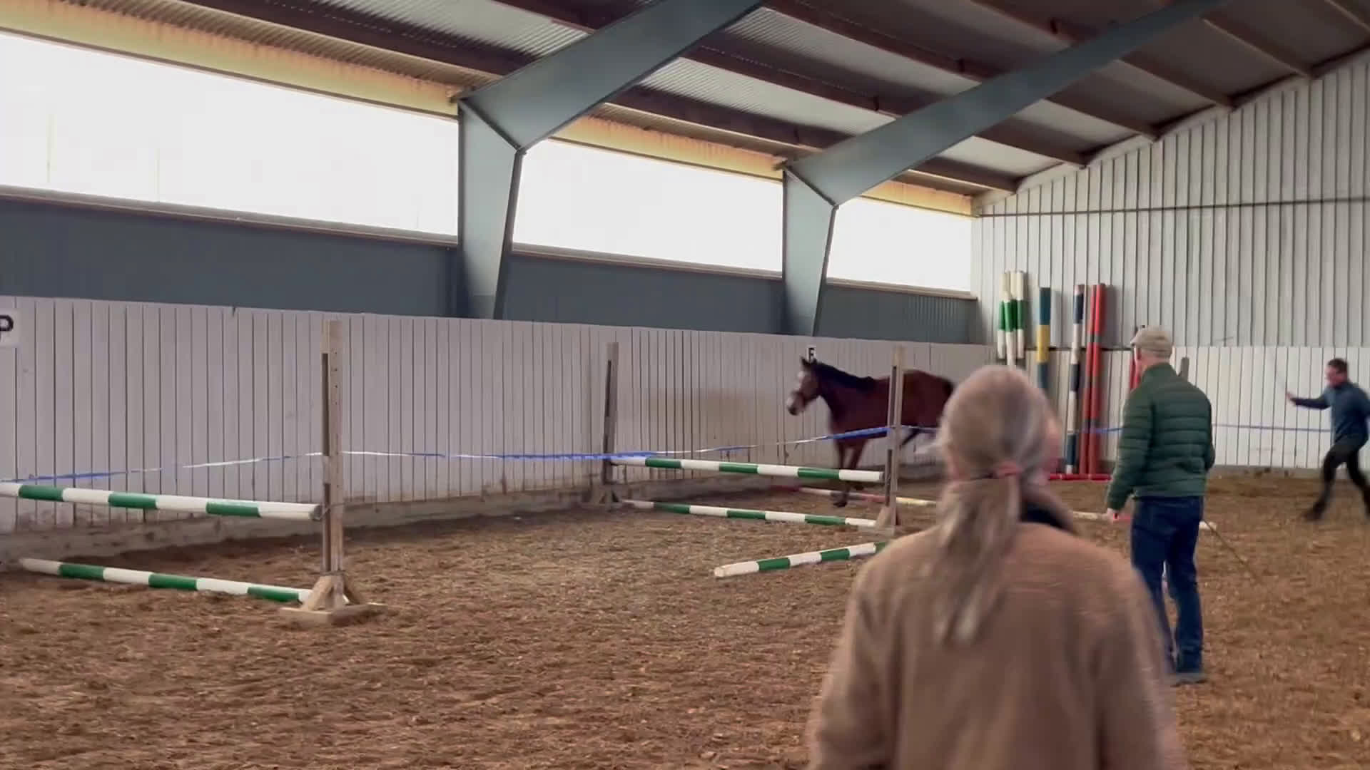 Hoppning hästar till salu: 💥vackert 3årigt sto💥 i Löberöd - Video 3