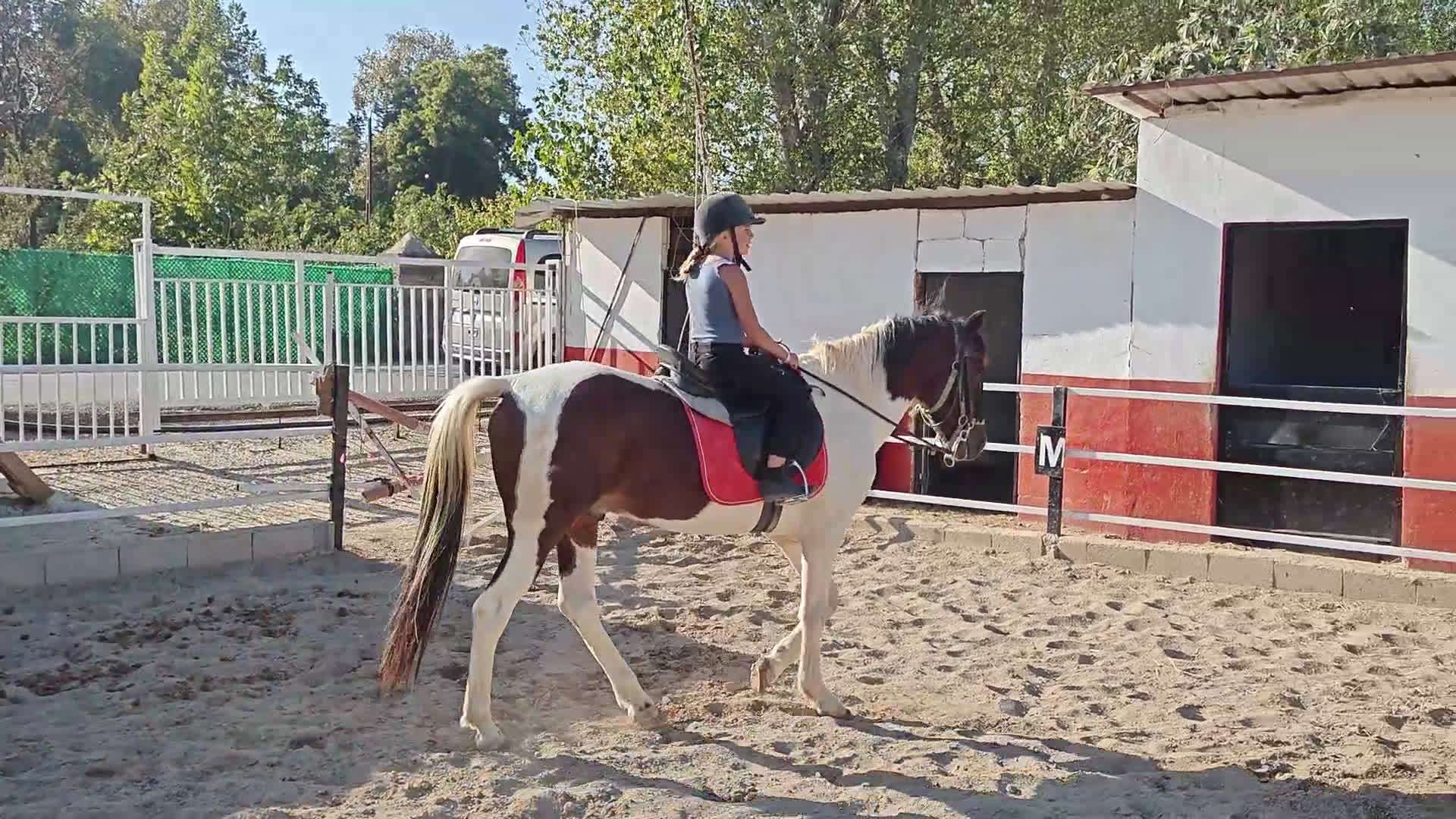  medryttarhäst finnes: Söker 2 hästar runt Västerhaninge  i Västerhaninge - Video 1