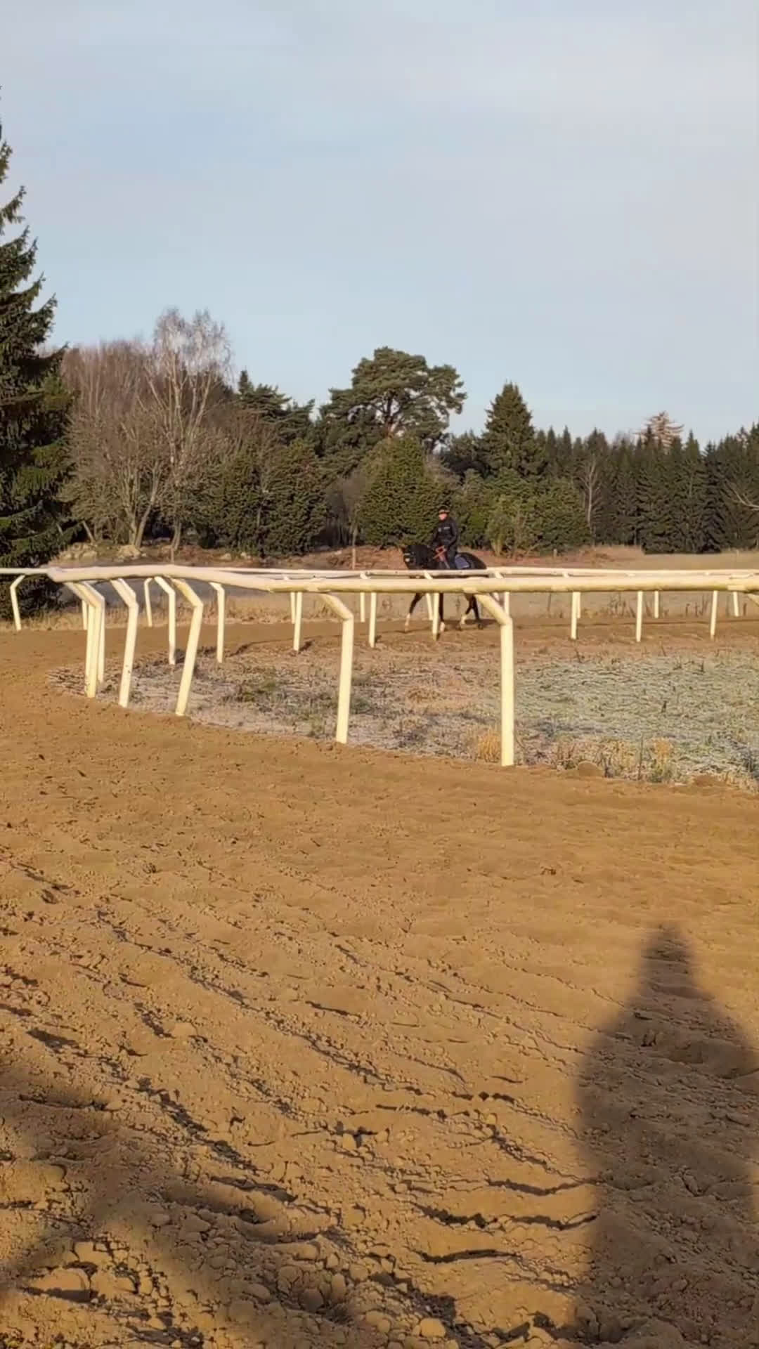 Fälttävlan hästar till salu: Fin unghäst med potential  i Bro - Video 1