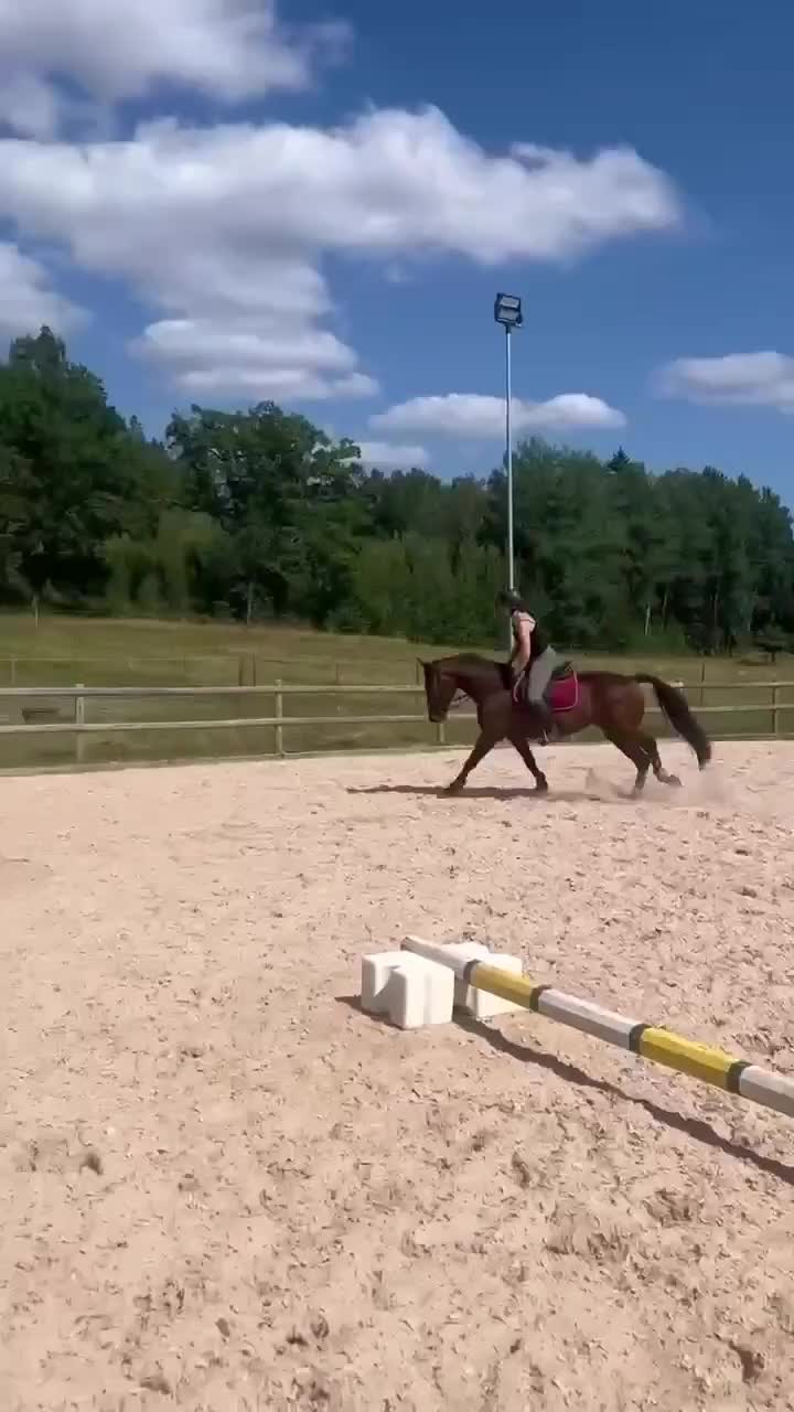 Allround hästar till salu: Fint sto säljes!  i Sorunda - Video 1