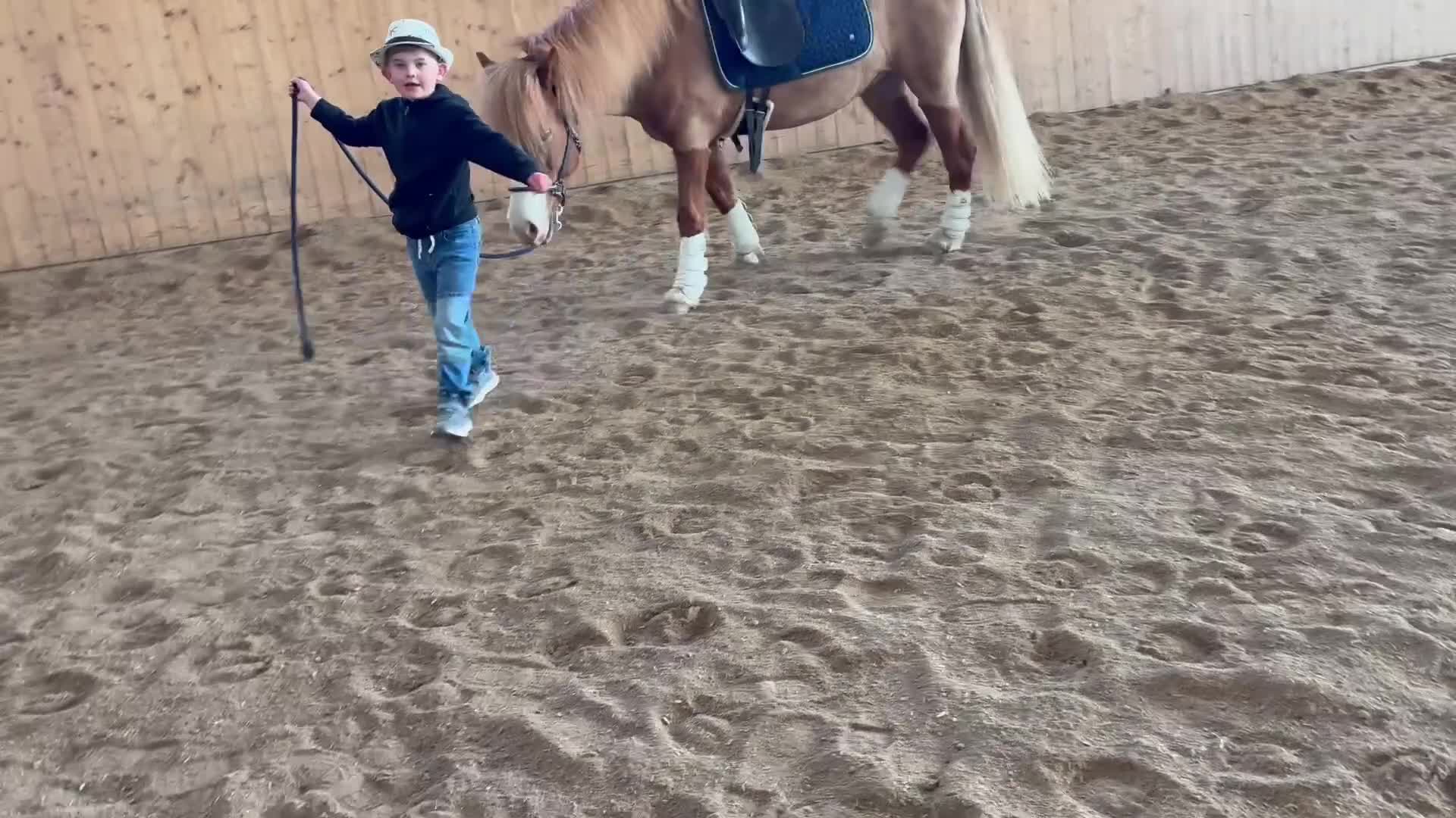 Hoppning hästar till salu: C-ponny till hoppning  - Video 2