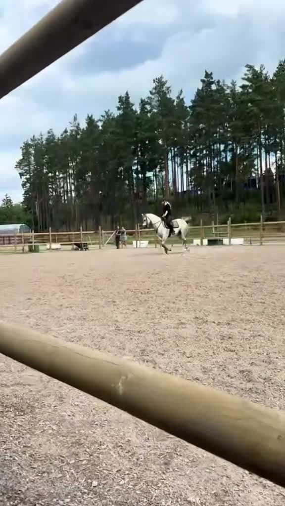  medryttarhäst sökes: Medryttarhäst sökes  - Video 1