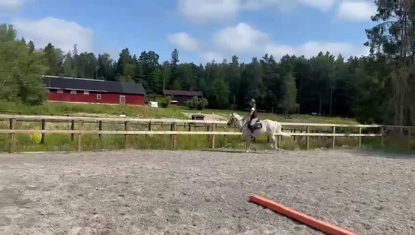 Allround hästar till salu: Fin C ponny!  i Tungelsta - Video 2