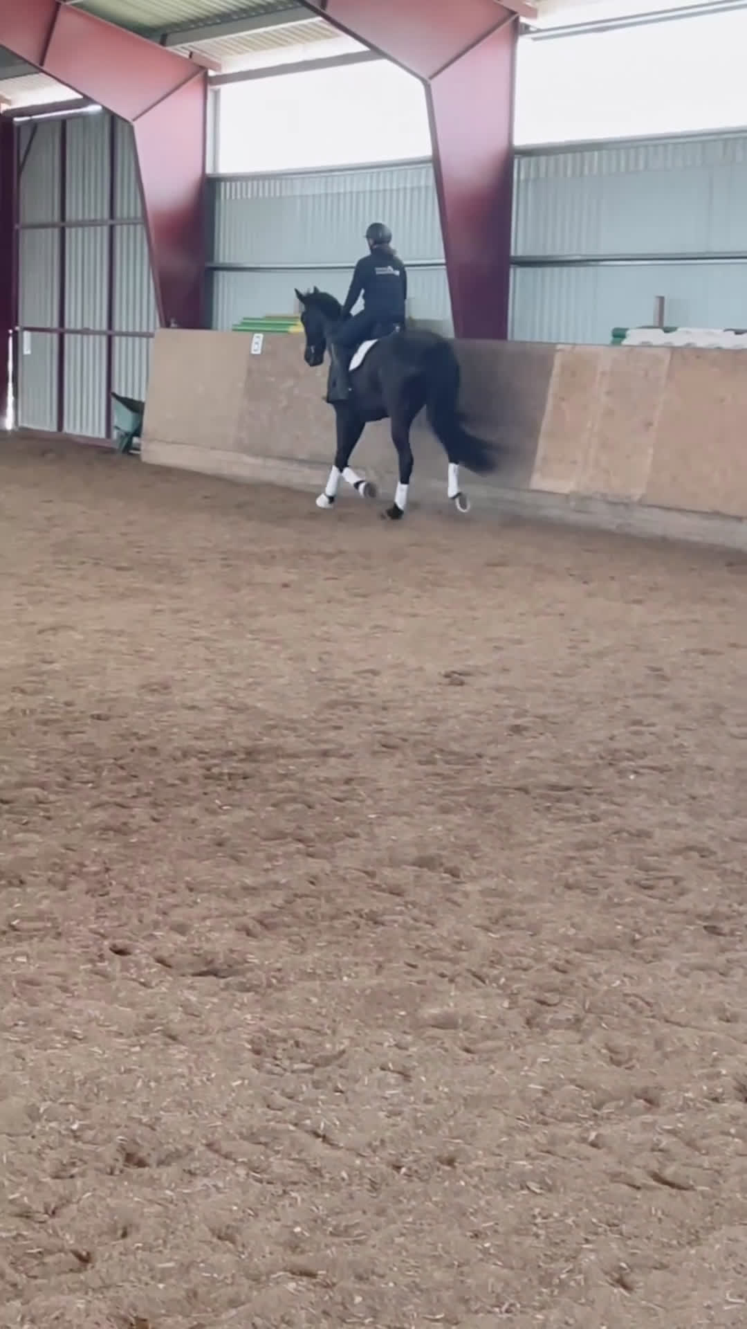 Dressyr hästar till salu: Tuff brud i lyxförpackning - Video 3