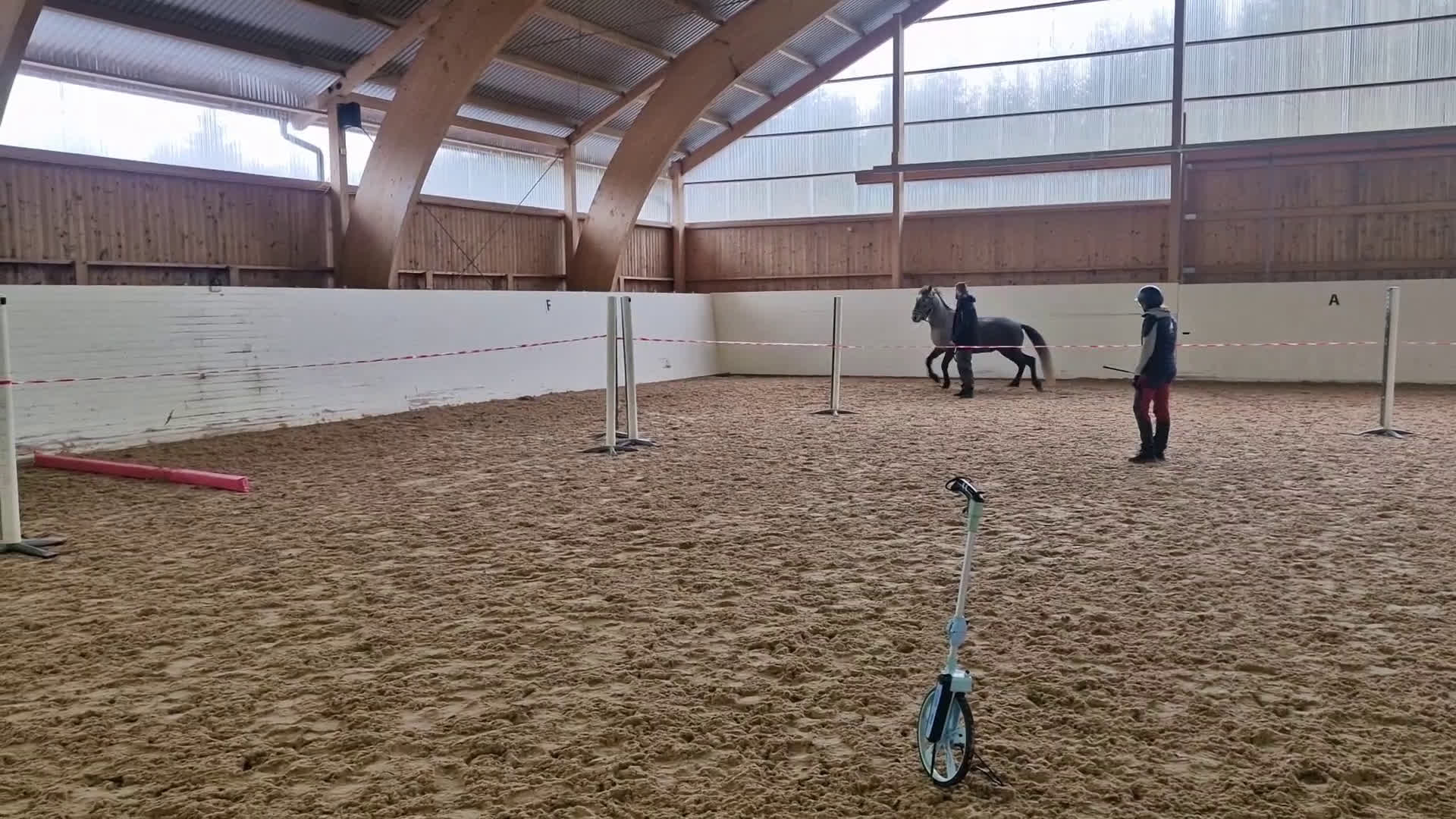 Allround hästar till salu: Allround ponny att forma själv🌟 - Video 1