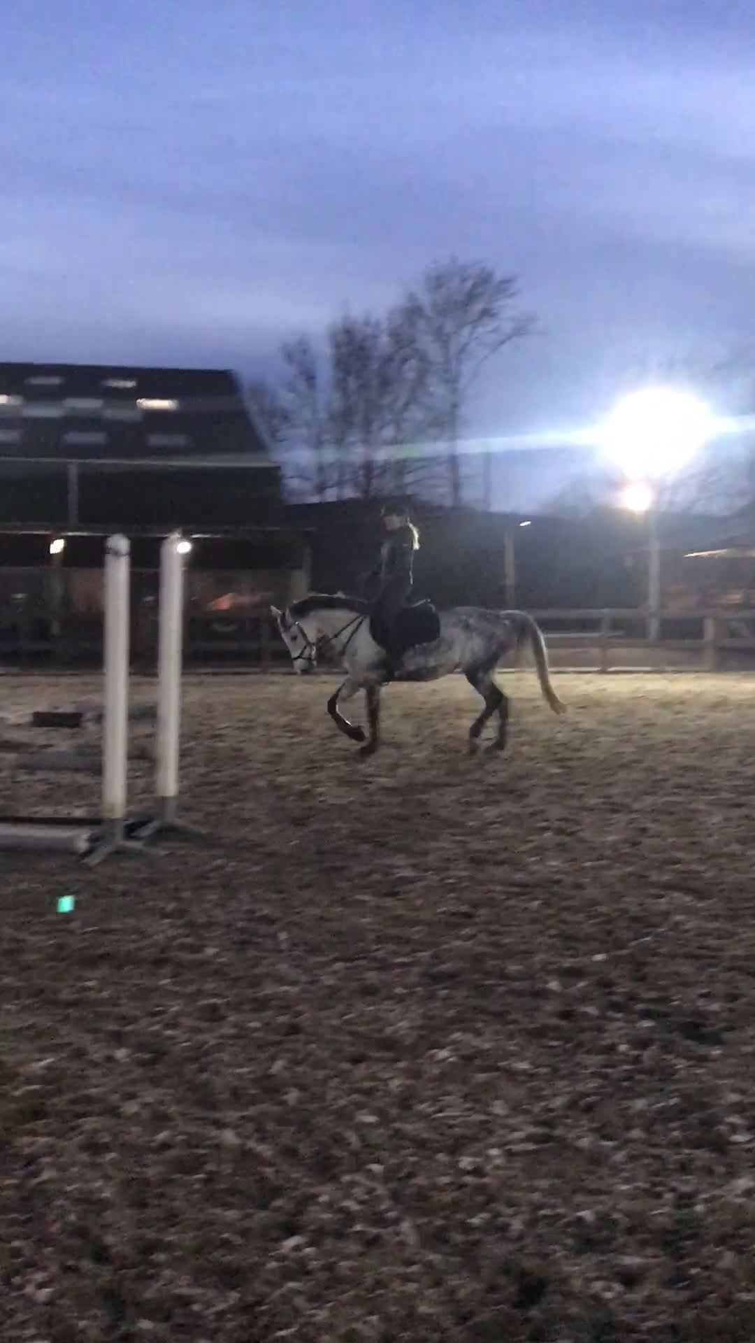 Allround hästar till salu: Min älskade Pärlan 🩷 i Ullared - Video 2