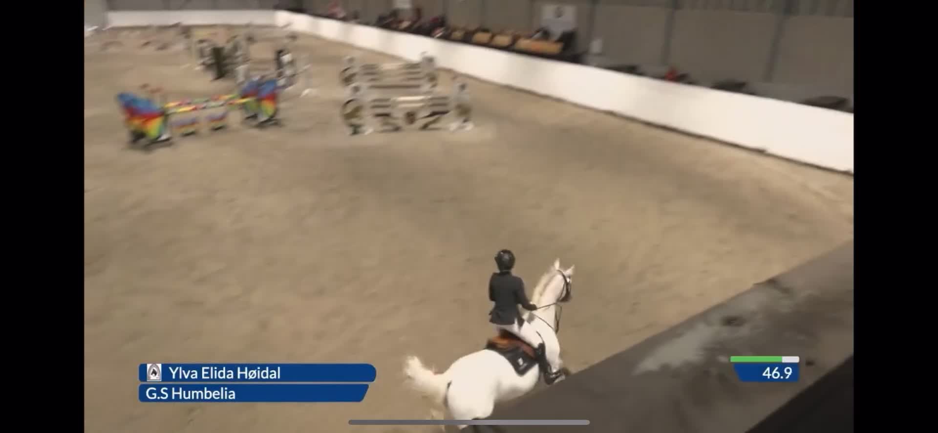 Hoppning hästar till salu: Fantastisk spranghest - Video 2