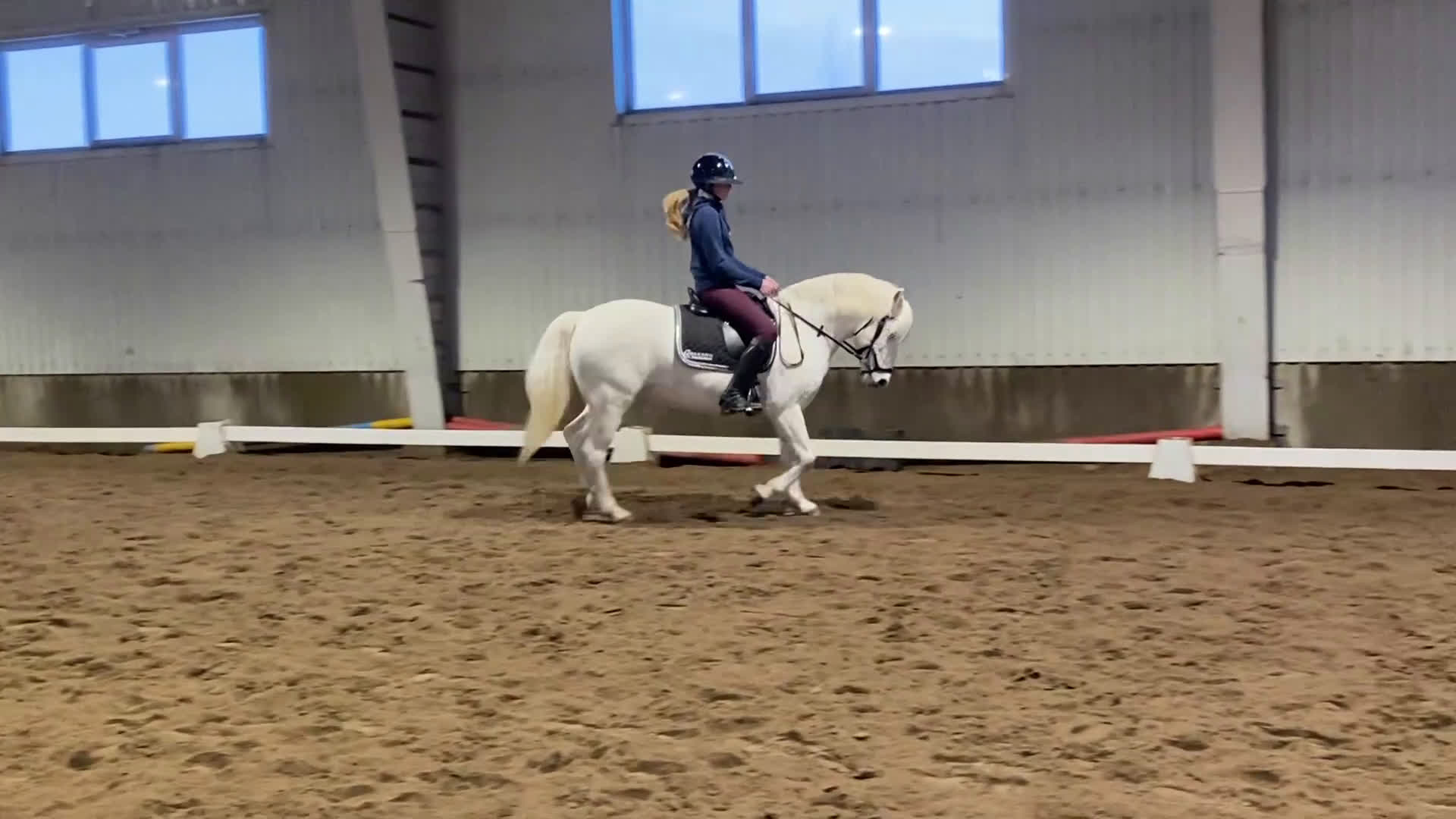 Dressyr hästar till salu: Trygg och kapabel tävlingsponny i Luleå - Video 1