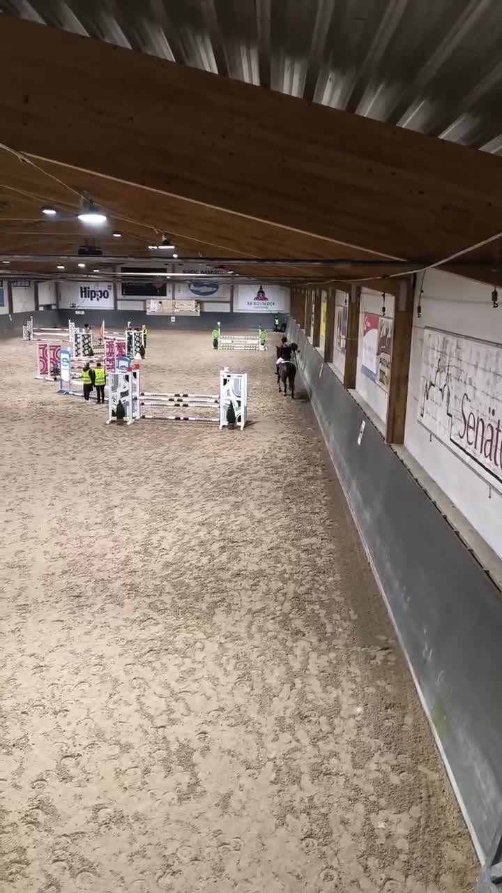 Allround hästar till salu: Snällaste killen  - Video 1