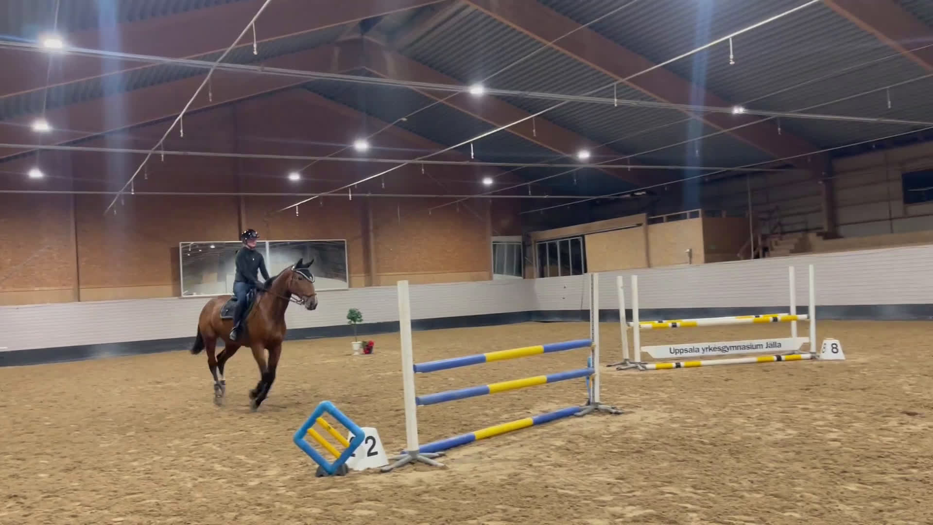 Hoppning hästar till salu: Världens tryggaste läromästare  i Östhammar - Video 1