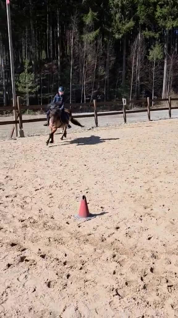 Allround hästar till salu: Fantastiska barnponnyer! :-)  - Video 4