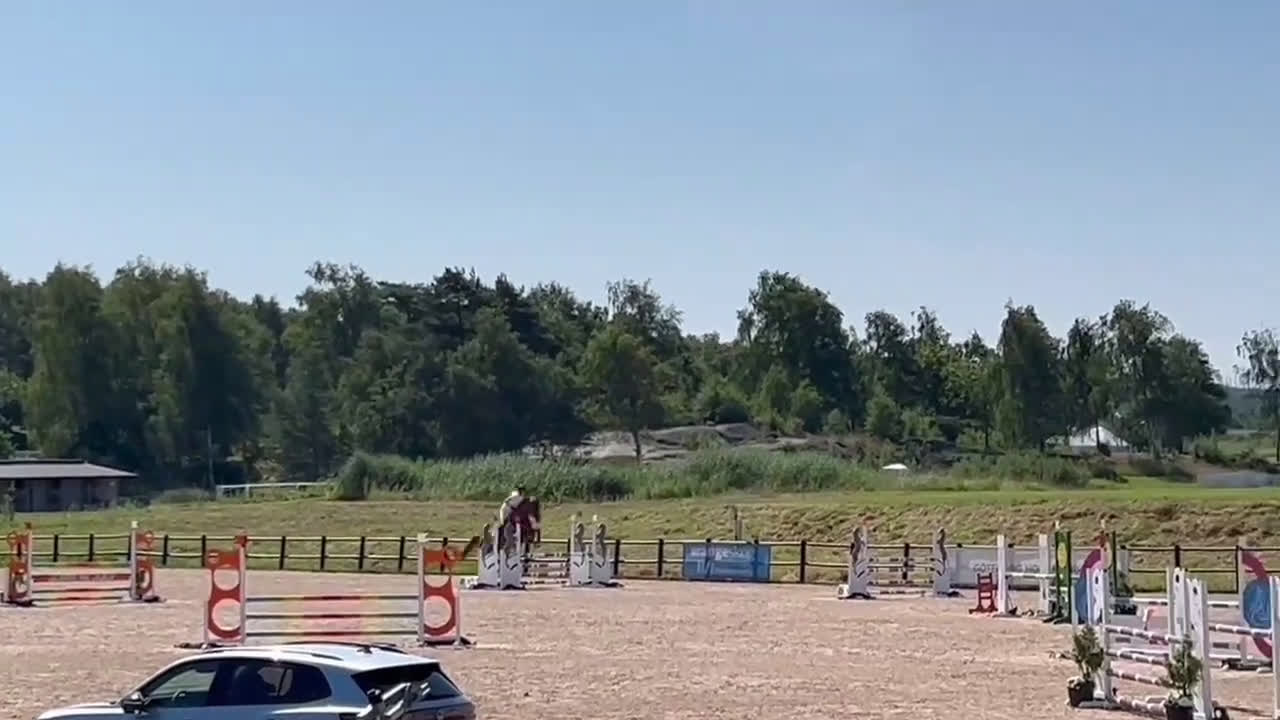 Allround hästar till salu: Hon älskar att hoppa ❤️ i Kungsbacka - Video 1