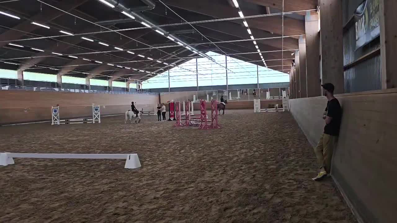 Hoppning hästar sökes: Medryttarhäst sökes! - Video 1