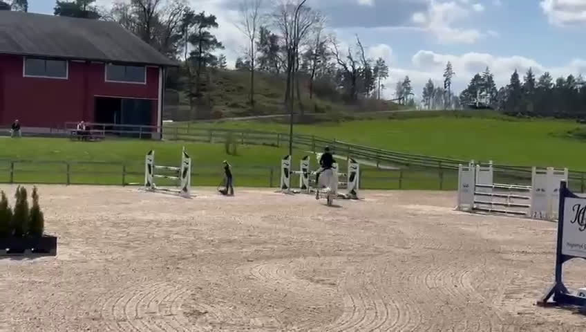Hoppning hästar till salu: C ponny för de högsta klasserna  - Video 1