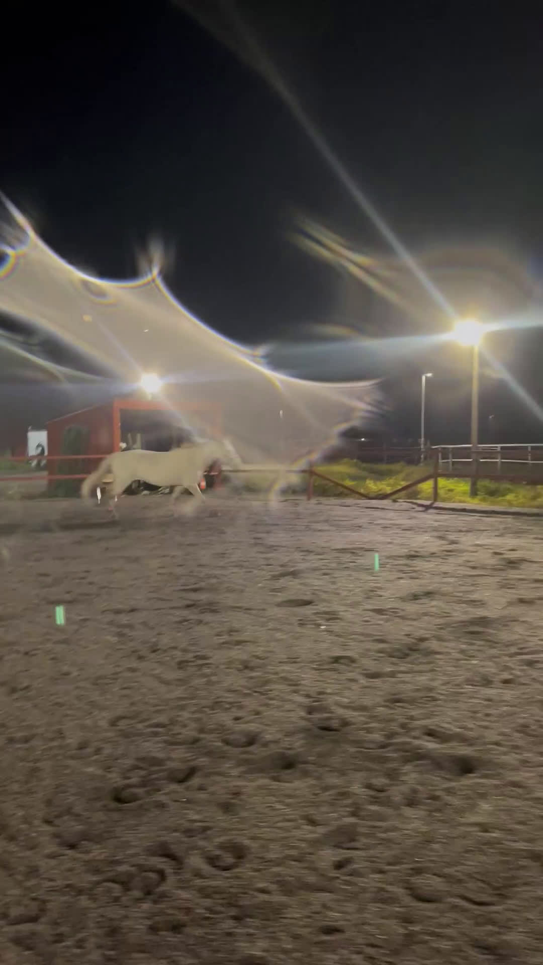 Allround hästar till salu: Charmig 6 åring med kapacitet  i Södra Sunderbyn - Video 3