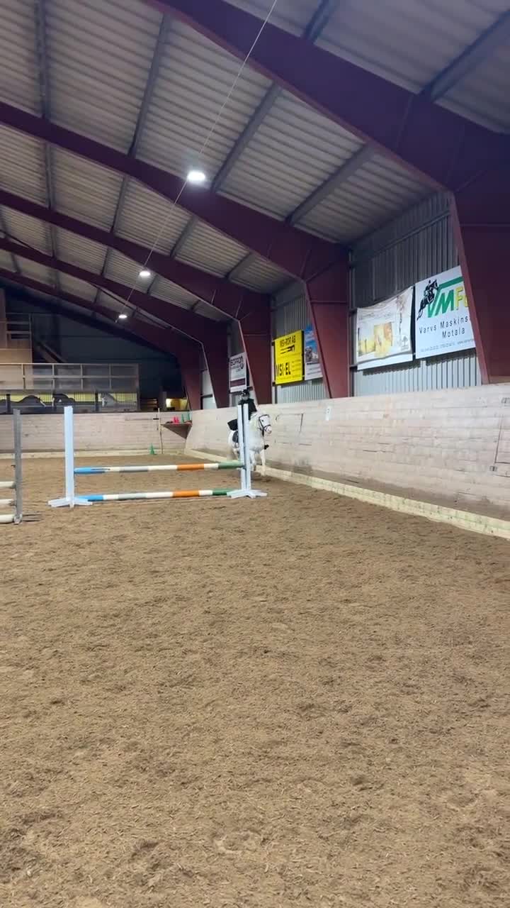 Allround hästar till salu: Aaron,B-ponny 10 år söker trygg ryttare i Motala - Video 1